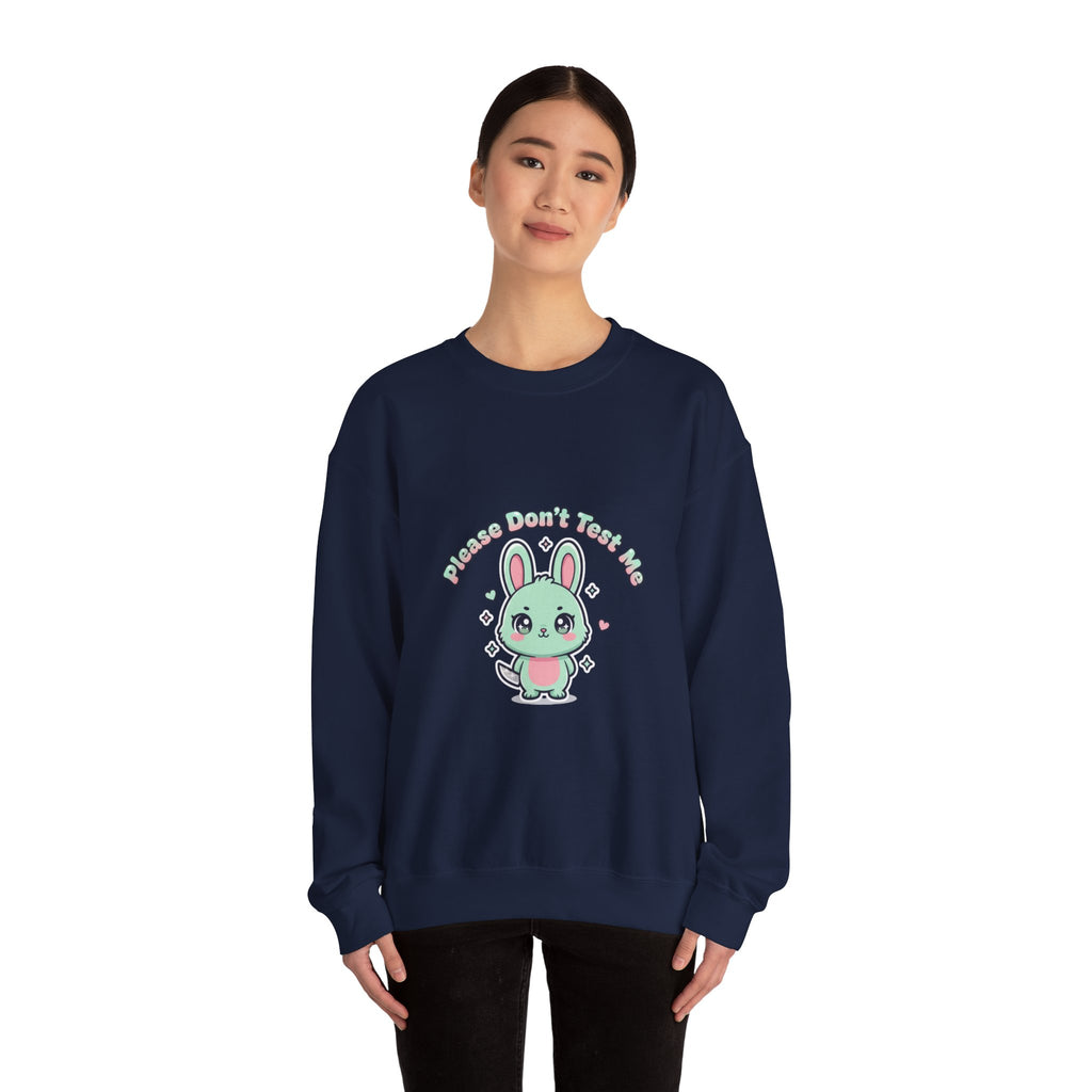 Please Don’t Text Me Sweatshirt | Soft Threat kawaii menacing, pastel cute grunge