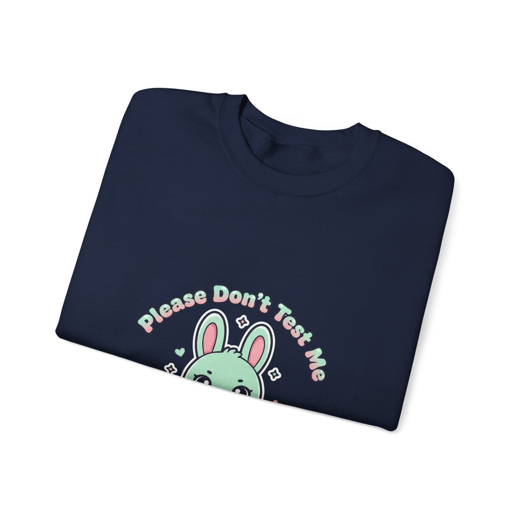 Please Don’t Text Me Sweatshirt | Soft Threat kawaii menacing, pastel cute grunge